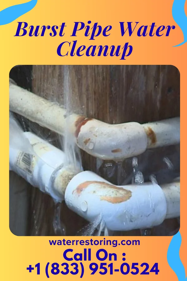 Burst Pipe Water Cleanup in Nanakuli, HI