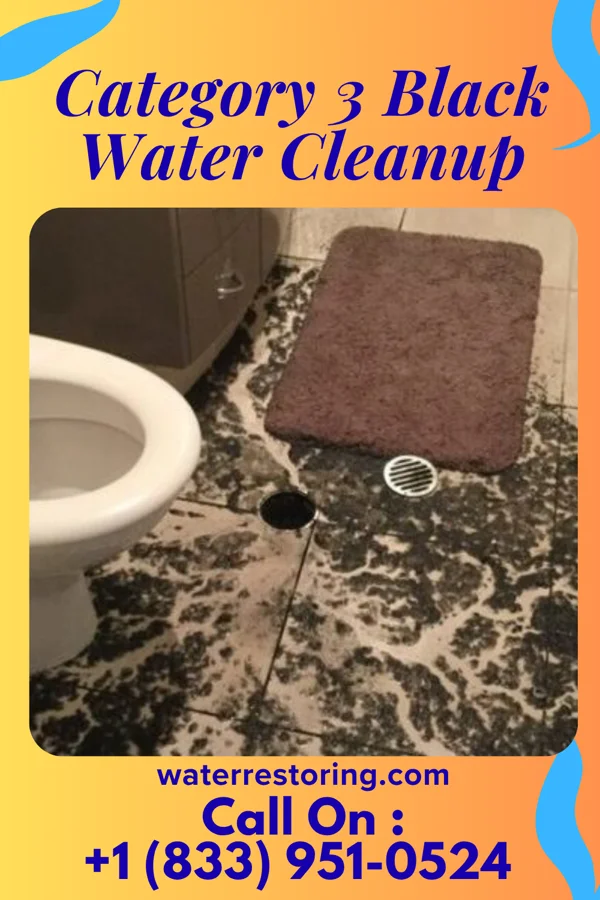 Category 3 Black Water Cleanup in Nanakuli, HI