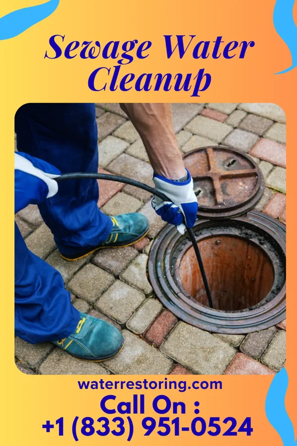 Sewage Water Cleanup in Nanakuli, HI